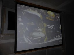 StammtischMitFilmvorfuehrung (9)